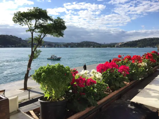 Rumeli Kale Cafe & Restaurant'nin yemek ve ambiyans fotoğrafları 11