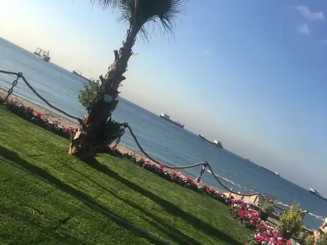 yakuplu marina resturant'nin yemek ve ambiyans fotoğrafları 3