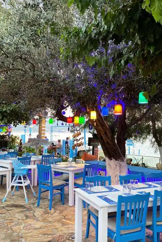 Sardelaki Greek Tavern'nin yemek ve ambiyans fotoğrafları 28