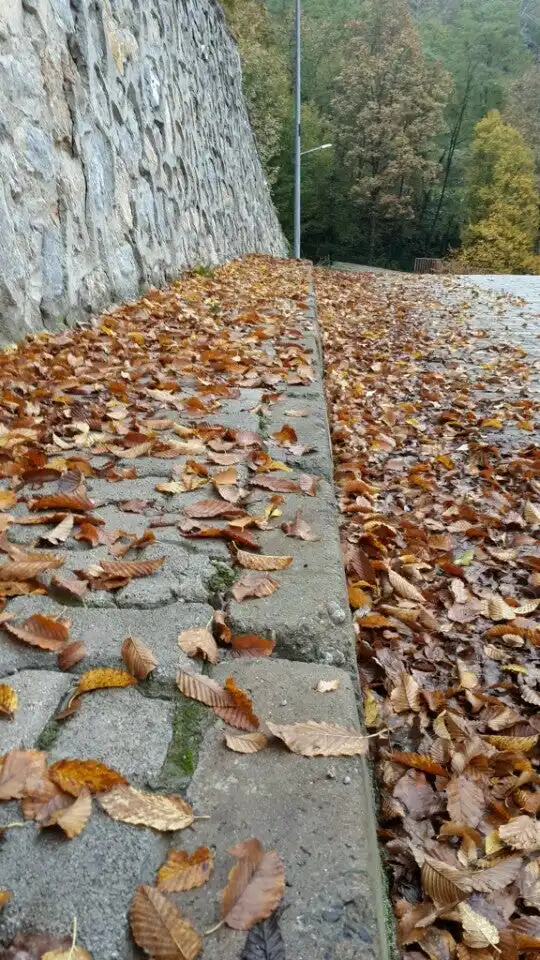 Bizbize Cafe'nin yemek ve ambiyans fotoğrafları 2