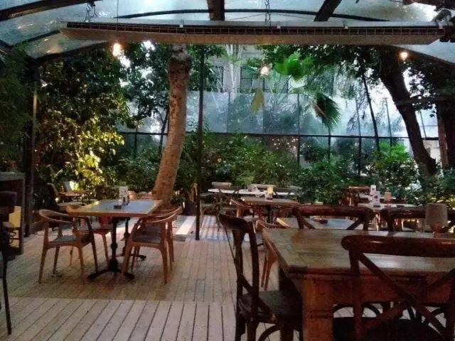 Cezayir Restaurant'nin yemek ve ambiyans fotoğrafları 6