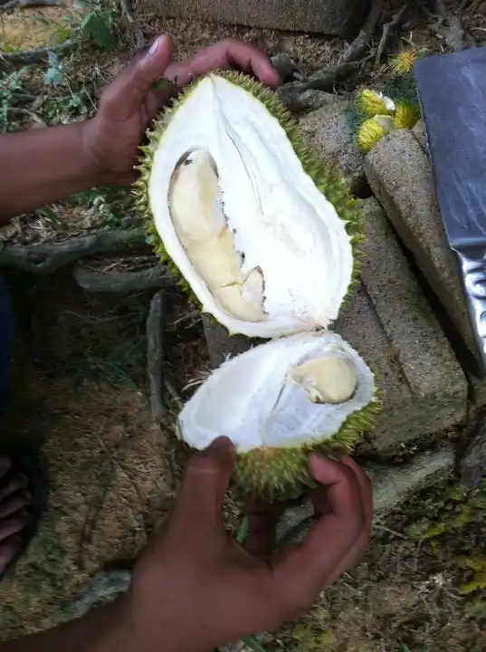 Kampung Baru Air Mawang Food Photo 10