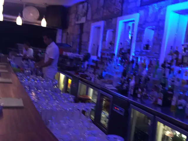 Okaliptus Cocktail Bar'nin yemek ve ambiyans fotoğrafları 11