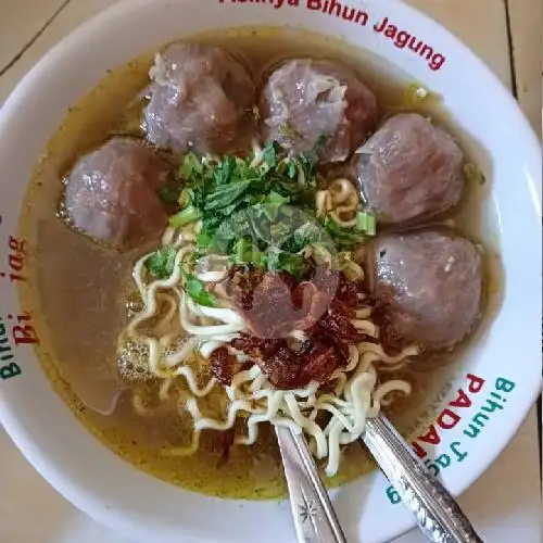 Gambar Makanan Warung Bakso SUTINI 2