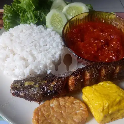 Gambar Makanan Nasi Megono Mama Sasa, JL. AMD V NO.52 D, RT. 001/ RW. 07 15