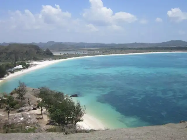 Gambar Makanan Warung Turtle lombok 16