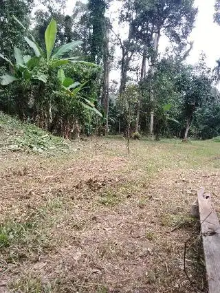 SANTAI-SANTAI Makan Durian Di Dusun Food Photo 2