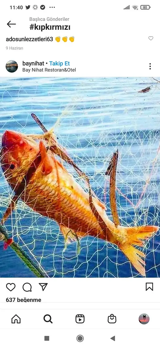 Assos Balıkçısı
