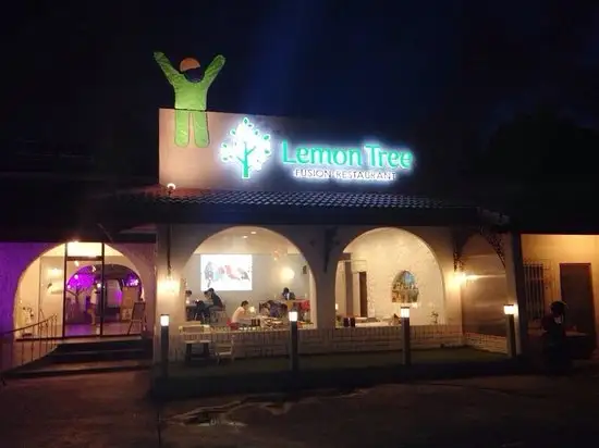 Lemon Tree Fusion Restaurant