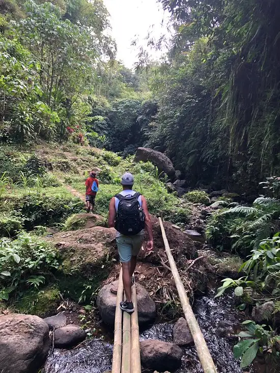 Gambar Makanan Warung Monkey Forest 11