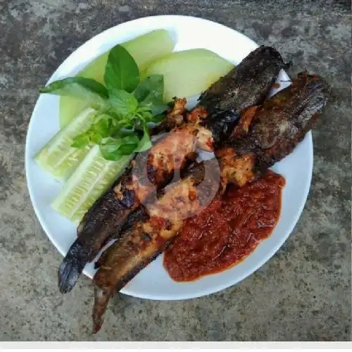 Gambar Makanan Ayam Jingkrak Satrio Jowo, Avros 3