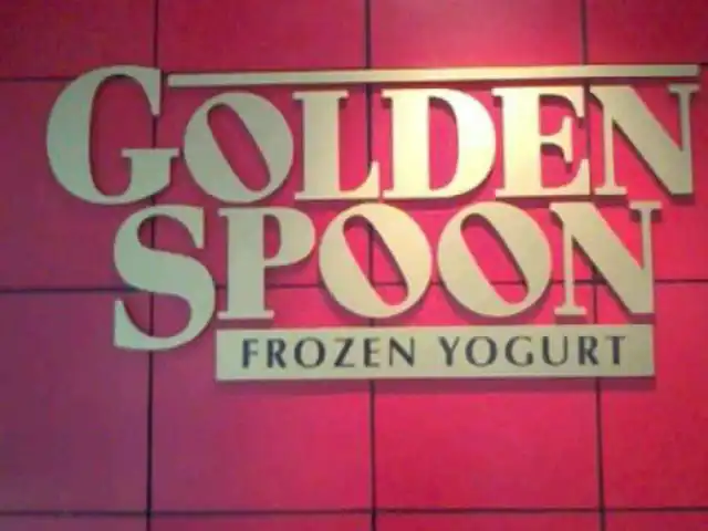 Golden Spoon Food Photo 15