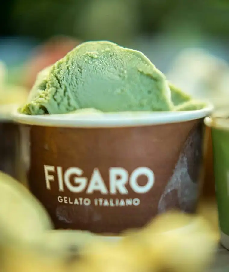 Figaro Gelato