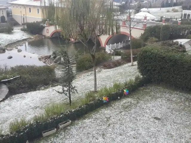 Rapsodi Evleri Sosyal Tesisleri'nin yemek ve ambiyans fotoğrafları 6