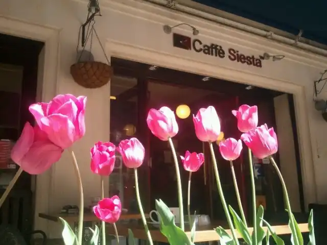 Caffé Siesta'nin yemek ve ambiyans fotoğrafları 4