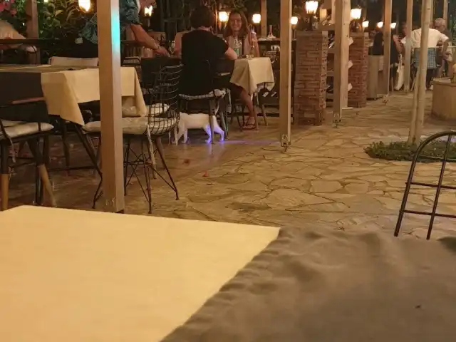 Villa Vino A La Carte Restaurant'nin yemek ve ambiyans fotoğrafları 4