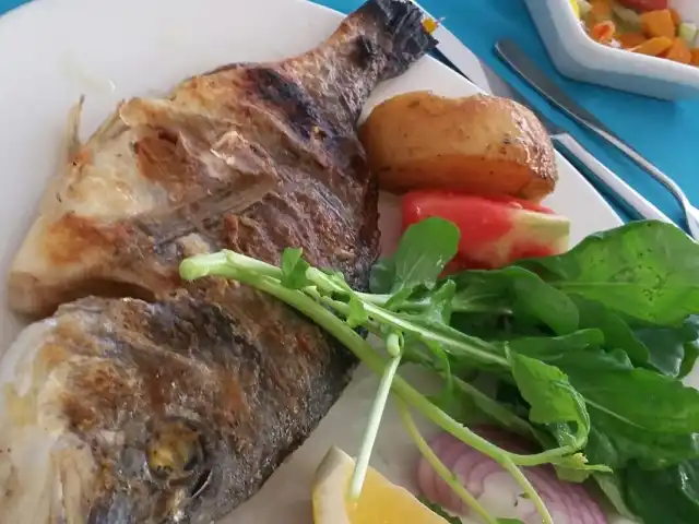 Fener Balık A'la Carte Restaurant'nin yemek ve ambiyans fotoğrafları 2