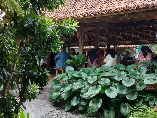 Gambar Makanan Bebek Perdikan 13