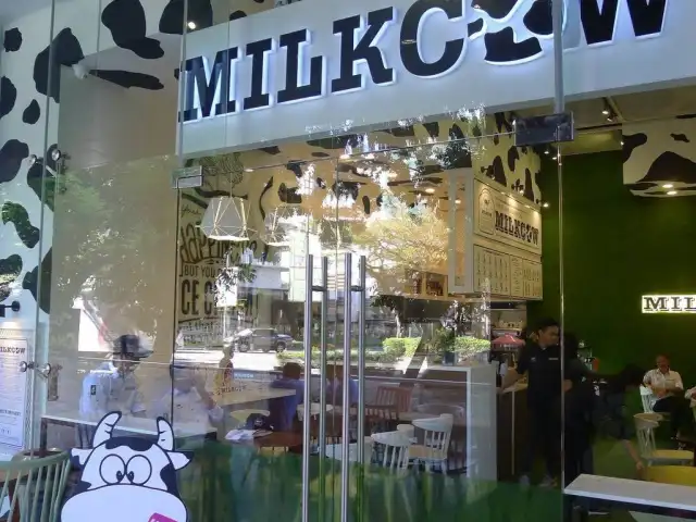 Milk Cow Food Photo 10