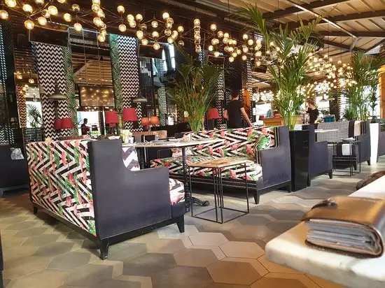 Balkon Cafe'nin yemek ve ambiyans fotoğrafları 2