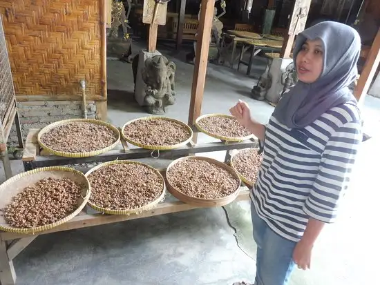 Gambar Makanan Kopi Luwak Mataram 16