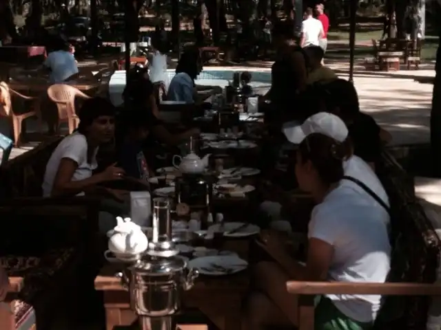 Anadolu Çam Cafe'nin yemek ve ambiyans fotoğrafları 3