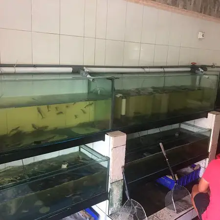 Gambar Makanan sungai sea food 18