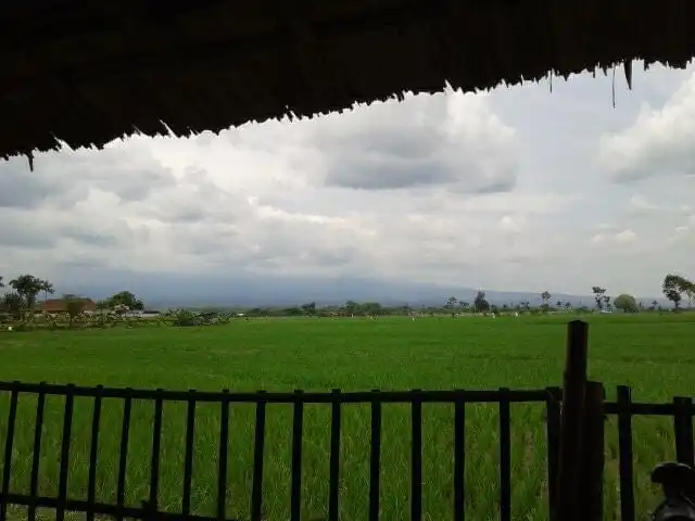 Gambar Makanan ISTANA Lesehan 7