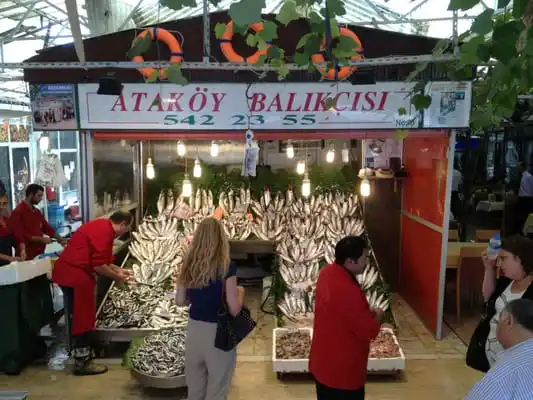 Ataköy Balıkçısı