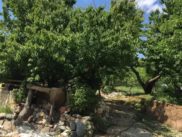 Şeker Baba Kuzu Çevirme'nin yemek ve ambiyans fotoğrafları 3