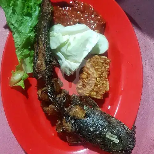 Gambar Makanan RAMA 88 Simpang 6(Seafood & Pecel Lele), Padang 7