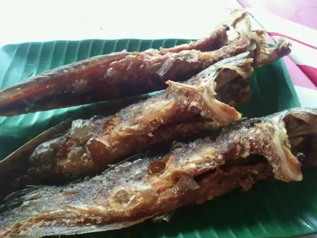 Pokok Sawa Ikan Keli Food Photo 10