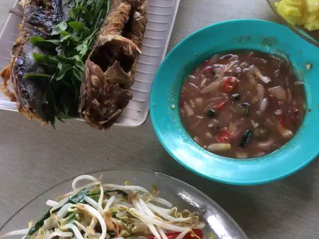 Pokok Sawa Ikan Keli Food Photo 1