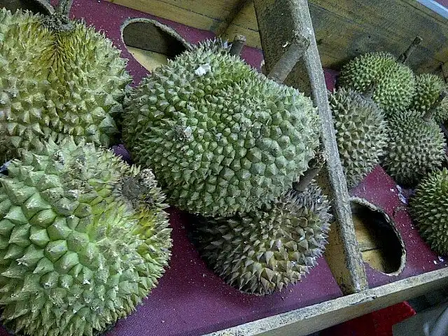 Gambar Makanan Rumah Durian Harum 11