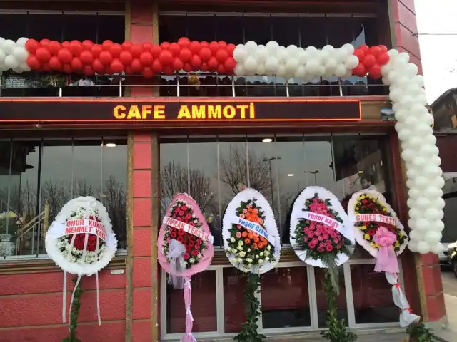 Cafe Ammoti'nin yemek ve ambiyans fotoğrafları 13