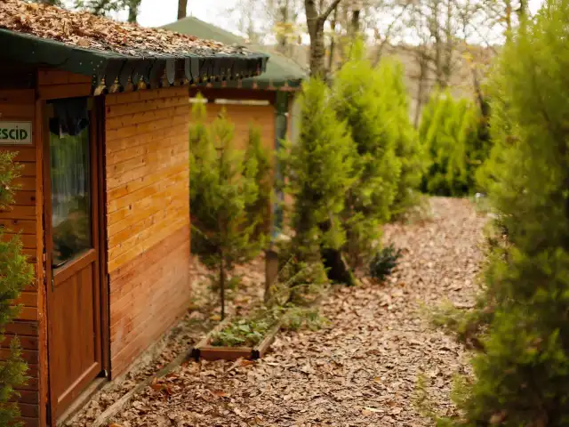 Sihirli Bahçe Evi'nin yemek ve ambiyans fotoğrafları 21