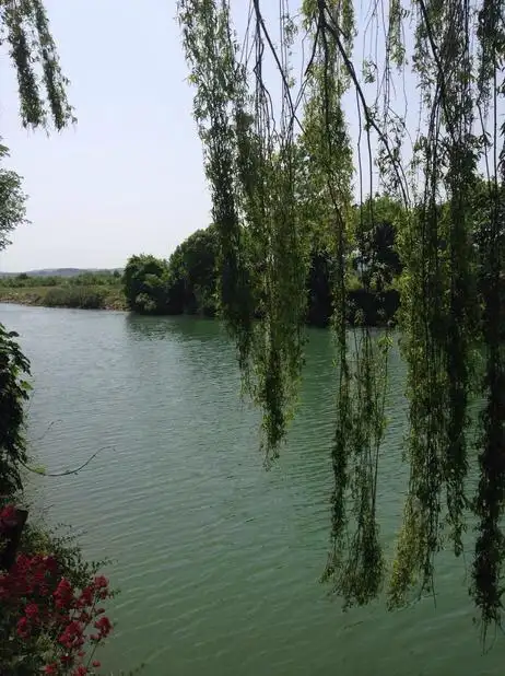 Tree Tops Park Restaurant'nin yemek ve ambiyans fotoğrafları 6