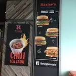 Harley's Burgers and Fried Chicken Food Photo 6
