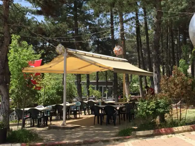 Aydos Cennet Cafe'nin yemek ve ambiyans fotoğrafları 17
