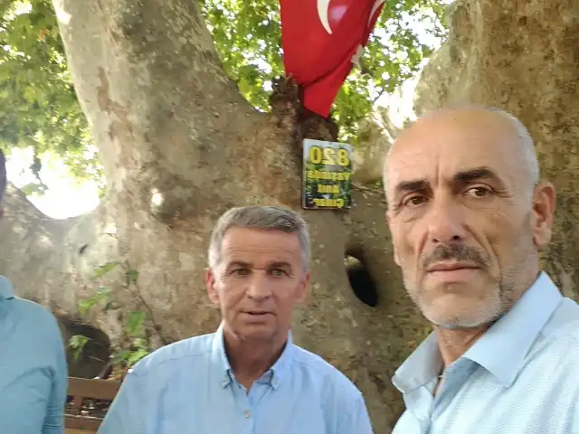 Köy Kahvesi'nin yemek ve ambiyans fotoğrafları 2