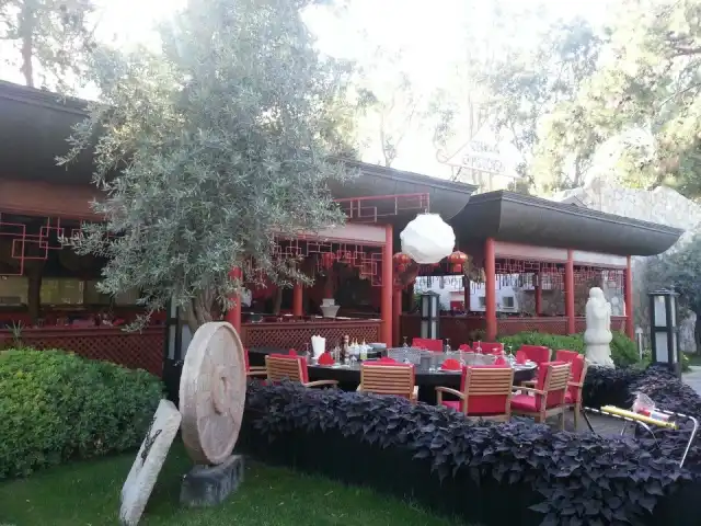 Voyage Torba Restaurant'nin yemek ve ambiyans fotoğrafları 2