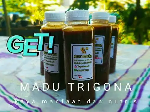 Madu Trigona Batam 79, Tiban Impian