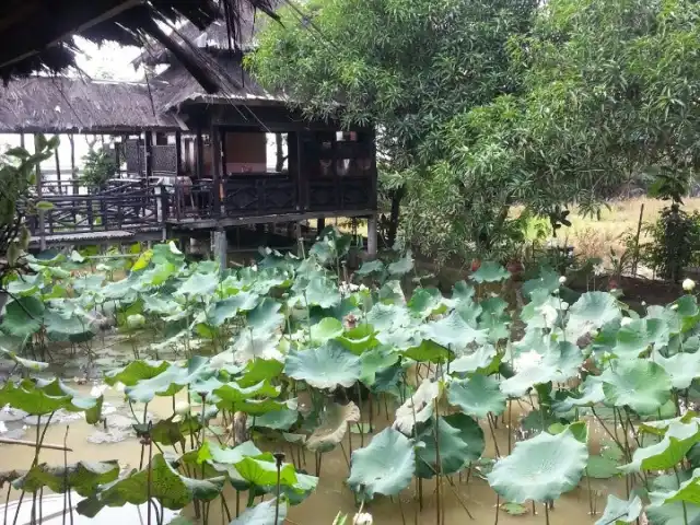 Gambar Makanan Rumah Makan Ma'Pinah 15