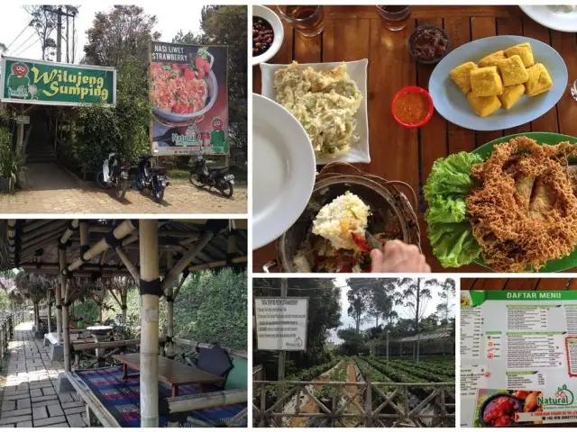 Gambar Makanan Natural Resto and Strawberry Land 5