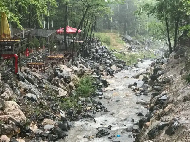 Şelale Aile Çay Ve Izgara Salonu'nin yemek ve ambiyans fotoğrafları 3