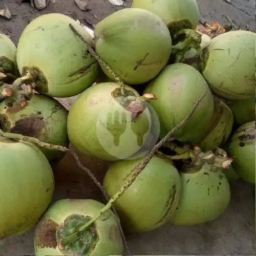 Gambar Makanan Kelapa Muda Kang Ujang 3