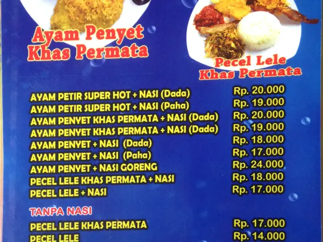 Gambar Makanan Ayam Penyet Al Permata 5