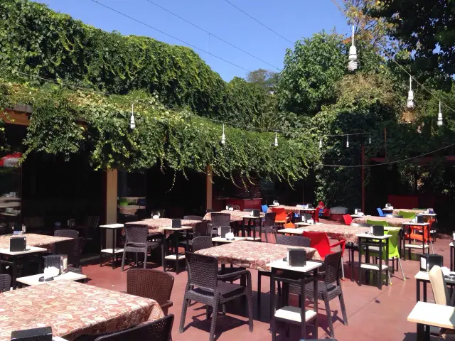 Palmiye Cafe'nin yemek ve ambiyans fotoğrafları 5