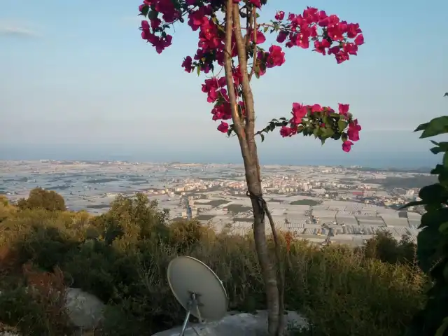 Arif'in Yeri'nin yemek ve ambiyans fotoğrafları 20