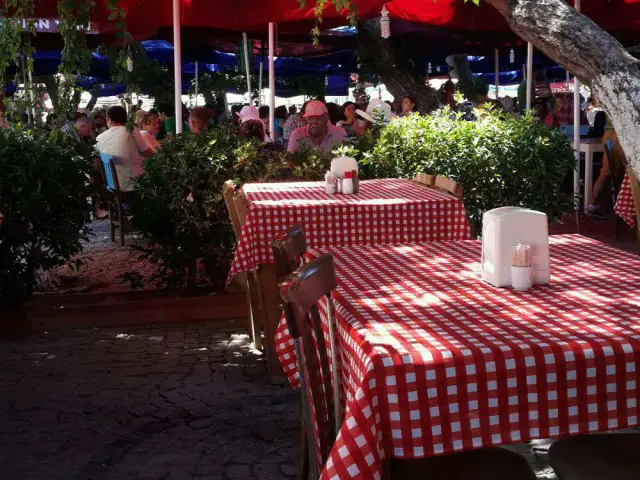 Çamlık Restaurant Hafız'ın Yeri'nin yemek ve ambiyans fotoğrafları 6